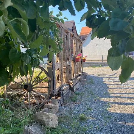 Apartment Au Clos Du Seltzbach *