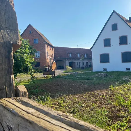 Au Clos Du Seltzbach Διαμέρισμα Hoffen